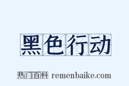 黑色行动是什么意思的图片